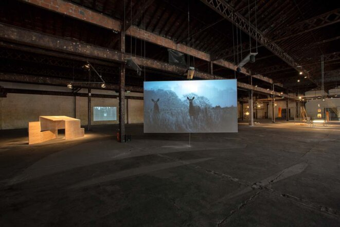 "LE PARFAIT FLÂNEUR" vu par Hilde Teerlinck
