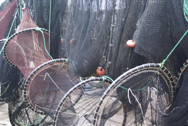 Pêcheurs, à vos filets