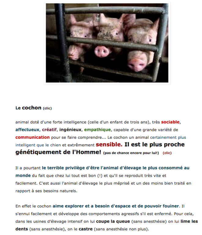 Ces pauvres cochons © JosyB Ces pauvres cochons © JosyB