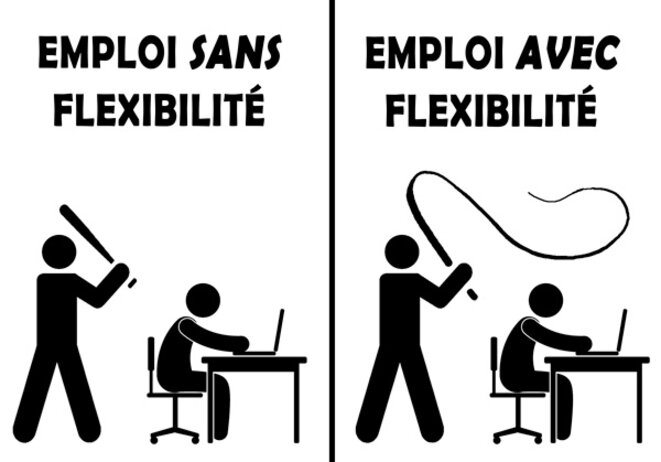 flex © flebas flex © flebas
