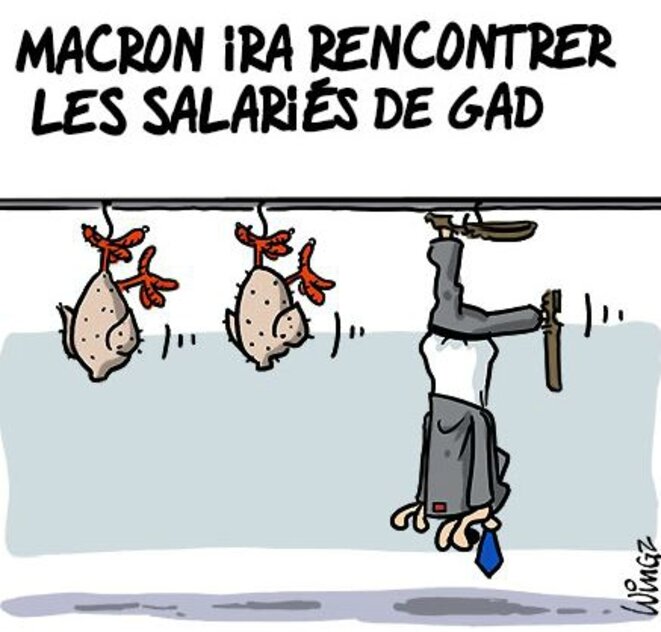 macron-poulet