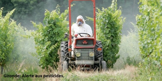 Bordeaux: Alerte aux pesticides !