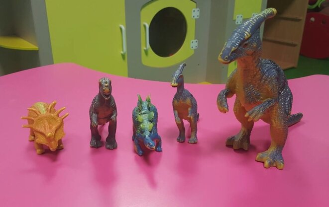 Dinosaures / au cœur d'un stage ASSP