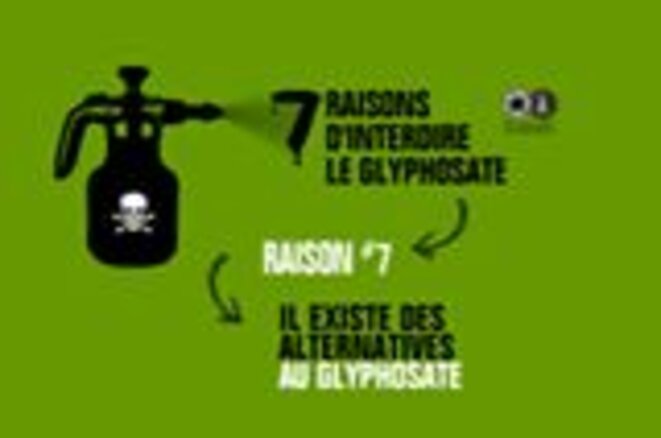 Il existe des alternatives au glyphosate © Verts/ALE Il existe des alternatives au glyphosate © Verts/ALE