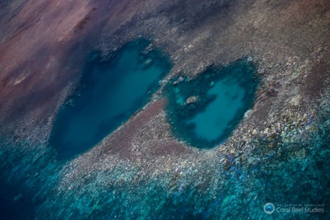 Le blanchissement de la Grande Barrière de corail vu d'avion. © ARC Centre of Excellence for Coral Reef Studies/Terry Hughes