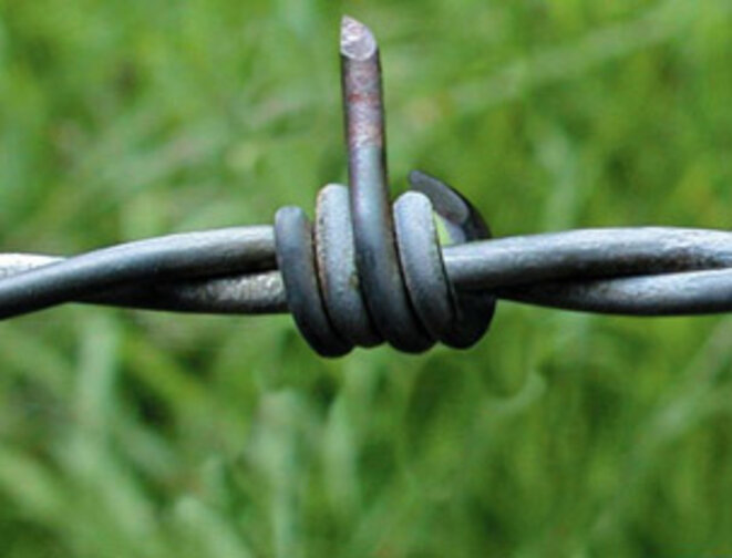 d-fence-thumbhome1