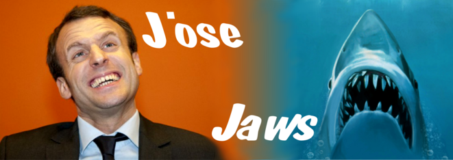 jaws