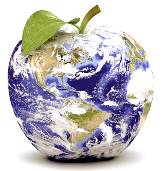 Une OME pour passer enfin des paroles à l’action en matière climatique