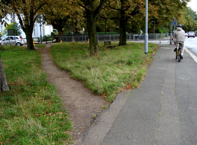 A desire path in the wild. © Flickr A desire path in the wild. © Flickr