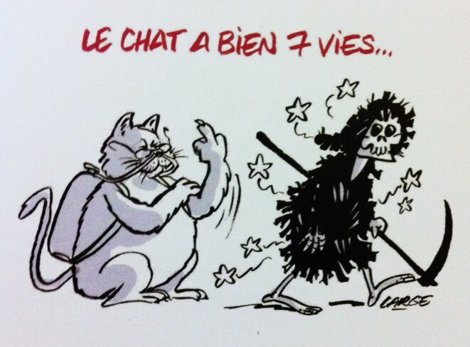 sine-chat-sept-vies