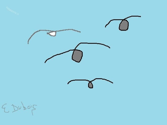 Libres Mots - Nouvelle revue de poésie