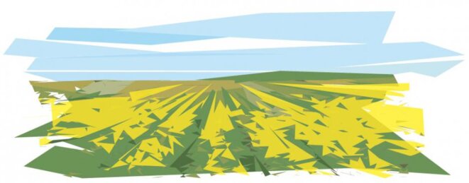 Le productivisme en agriculture, Cyril Roméro*