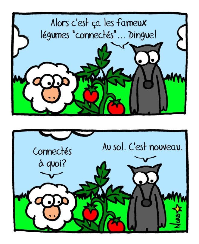 De la culture hors-sol aux légumes «connectés»!