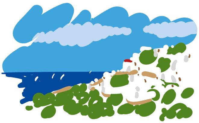 Frères musulmans en Égypte et en Tunisie, Sarah Ben Néfissa*