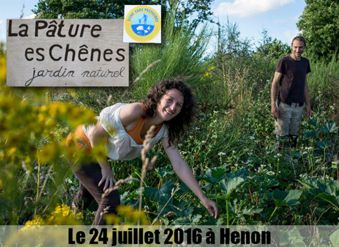 La pâture es chênes © AlterTour La pâture es chênes © AlterTour