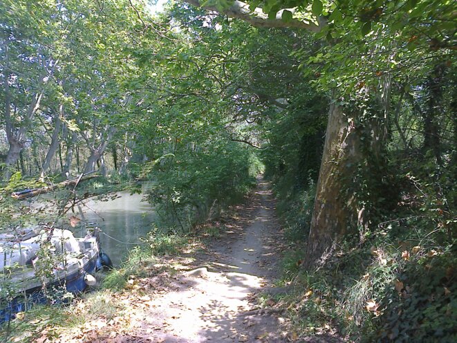 Canal du midi juste avant Agde Canal du midi juste avant Agde