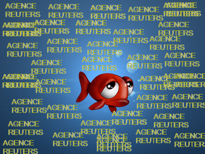Les algues vertes sont très envahissantes pour les poissons rouges Les algues vertes sont très envahissantes pour les poissons rouges