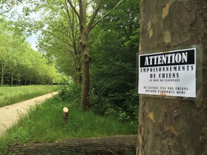 Bois de Vincennes. A quelques mètres de l'Université perdue © JK Bois de Vincennes. A quelques mètres de l'Université perdue © JK