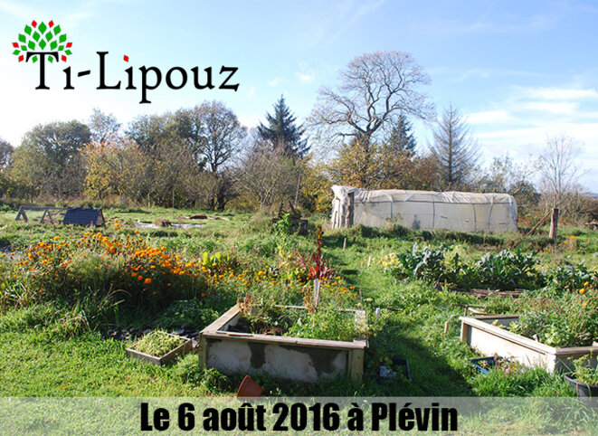 Oasis Ti Lipouz © AlterTour Oasis Ti Lipouz © AlterTour