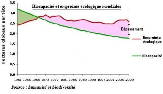 biocapa-empreinte