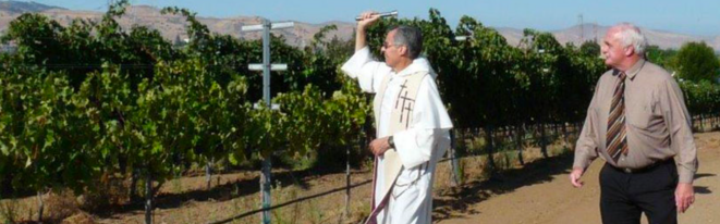 Un prêtre bénissant la vigne californienne © Site Bishop's Vineyard