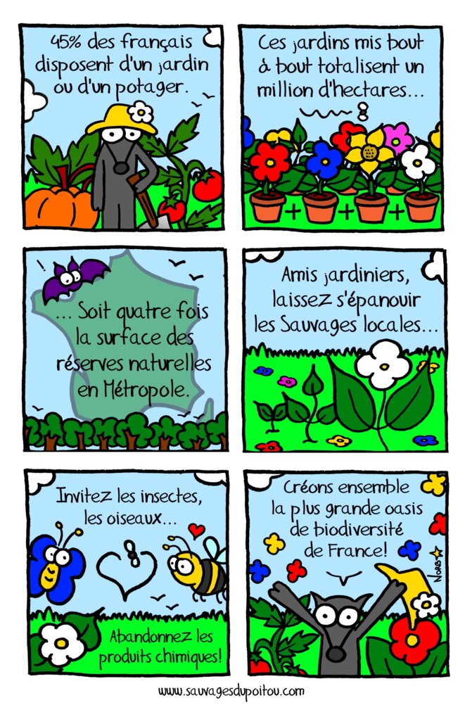 La biodiversité près de chez vous!