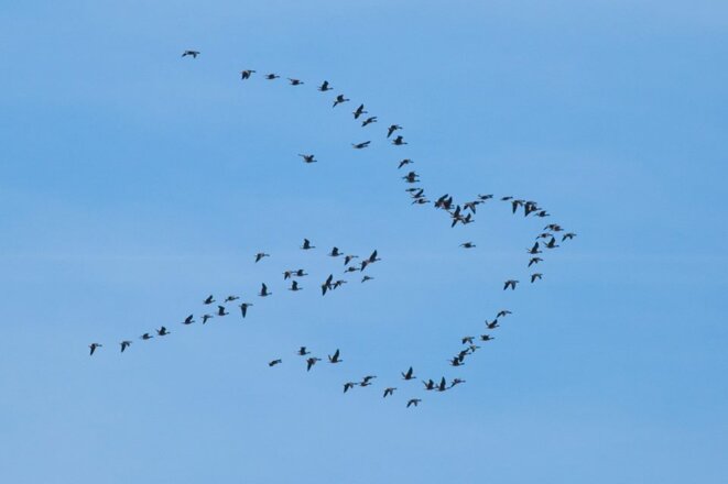 ..et tout d'un coup...