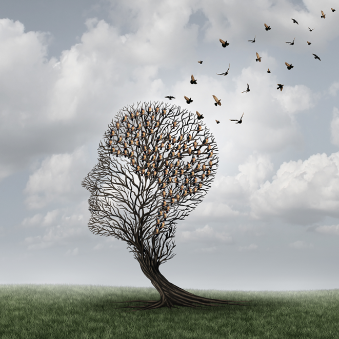 alzheimer-me-moire-shutterstock