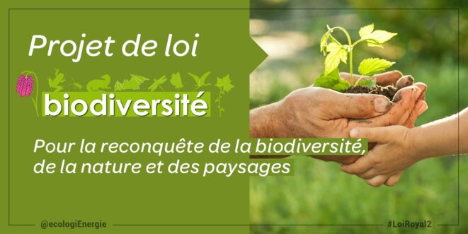 logo-loi-biodiversite