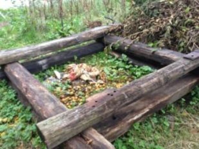 photo-7
