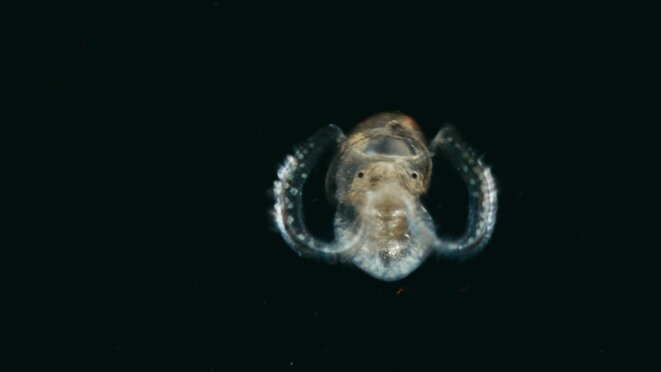 Sur le rebord du monde