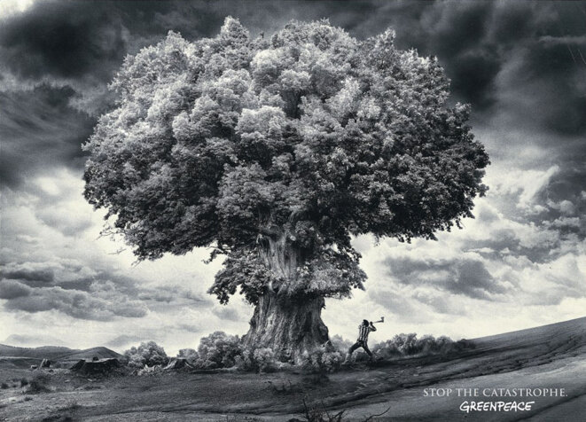 greenpeace-explosion-atomique-2