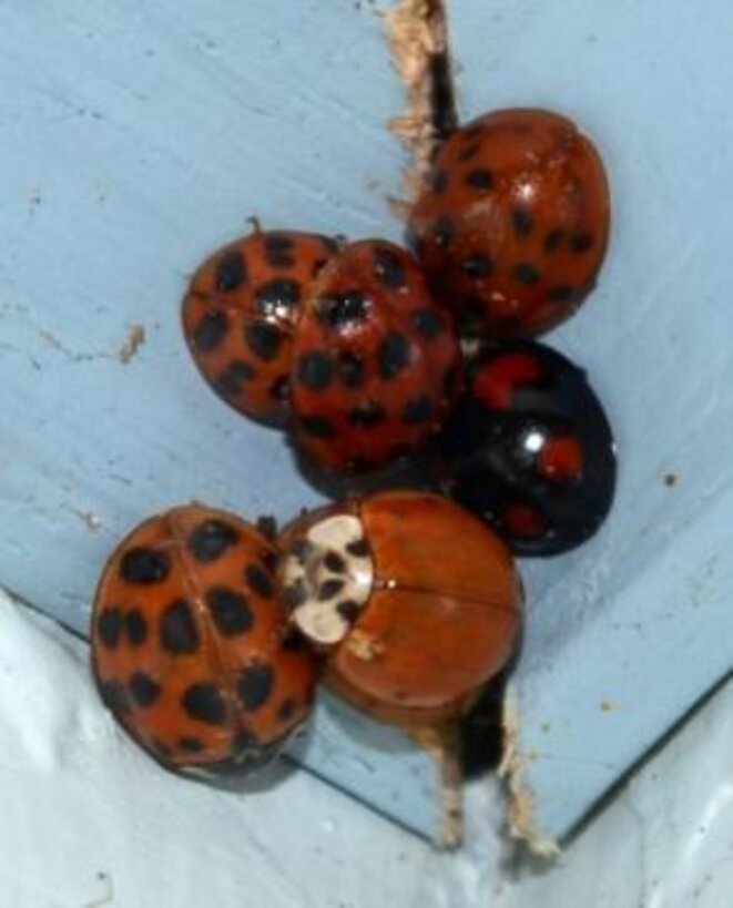 photo-13