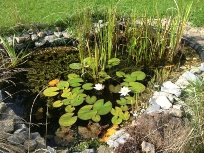 photo-14