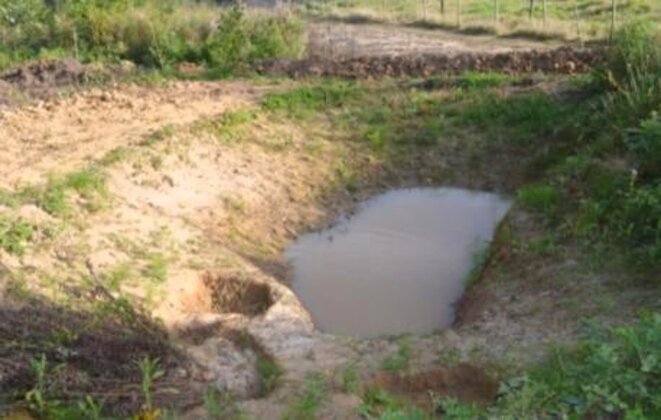 photo-16