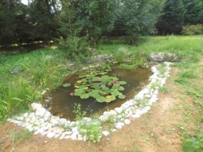 photo-26