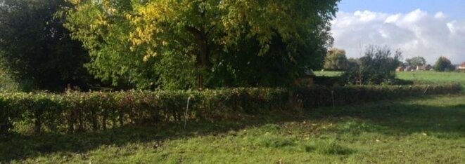 photo-34