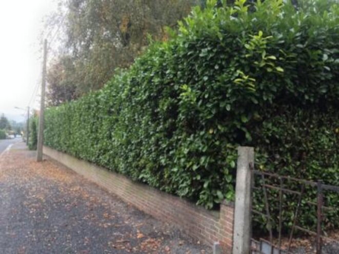 photo-35