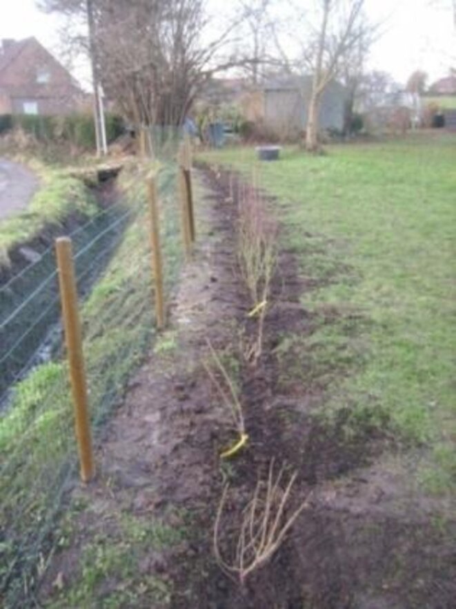 photo-38