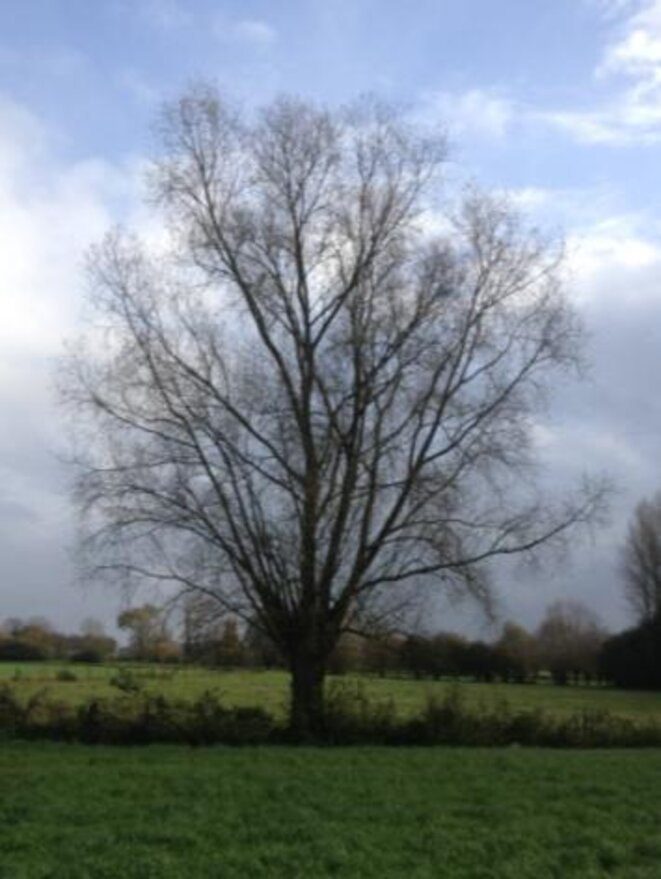 photo-40