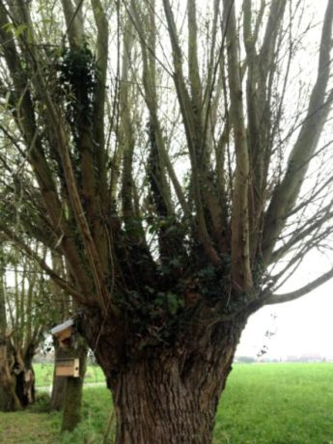 photo-41