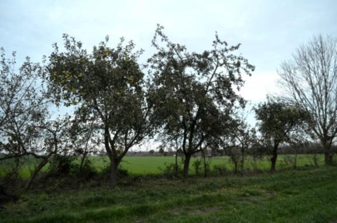 photo-44