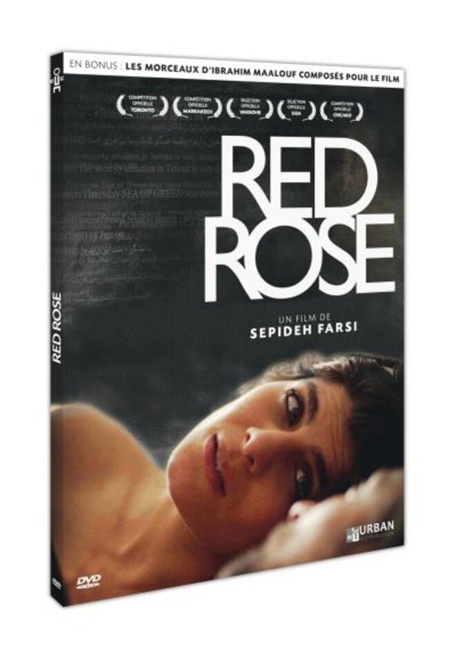 dvd-red-rose