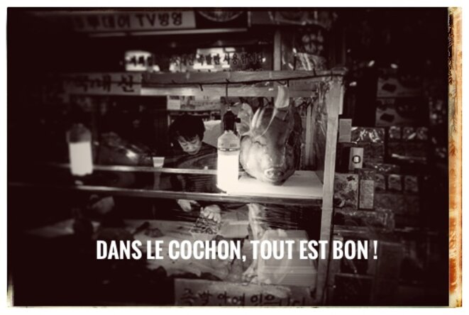 DANS LE COCHON,  TOUT EST BON !