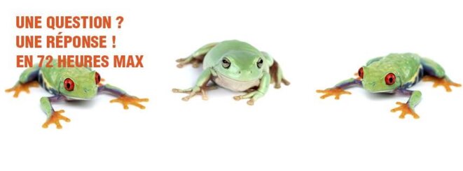 Le guichet du savoir répond à vos questions