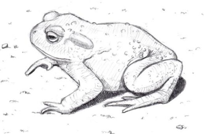 image-26