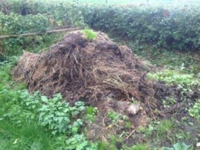 photo-49