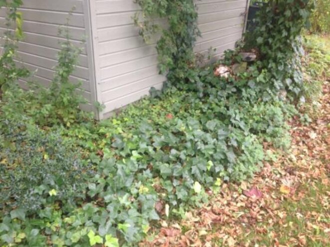 photo-54
