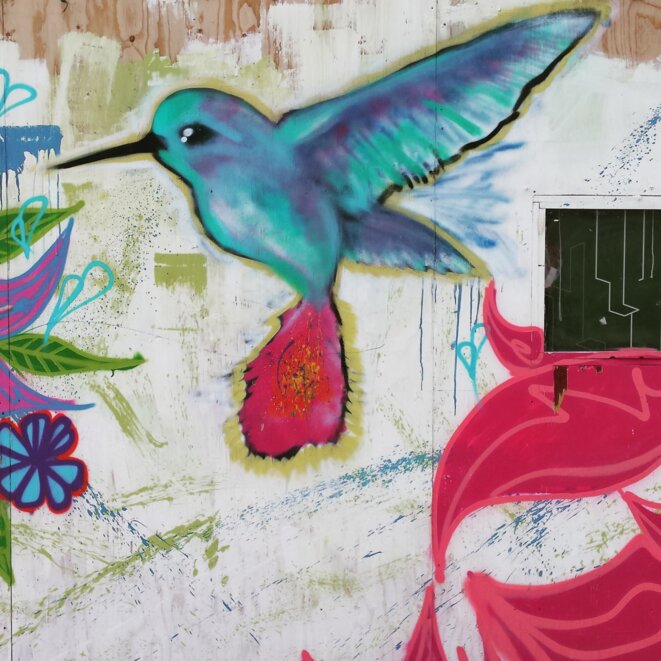 Aux environs du CAMIE (centre d'accueil pour mineurs isolés étrangers ouvert en juillet par MSF au nord de la jungle), l'espace du Hummingbird Project, septembre 2016. Aux environs du CAMIE (centre d'accueil pour mineurs isolés étrangers ouvert en juillet par MSF au nord de la jungle), l'espace du Hummingbird Project, septembre 2016.