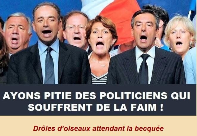 ils-attendent-la-becquee